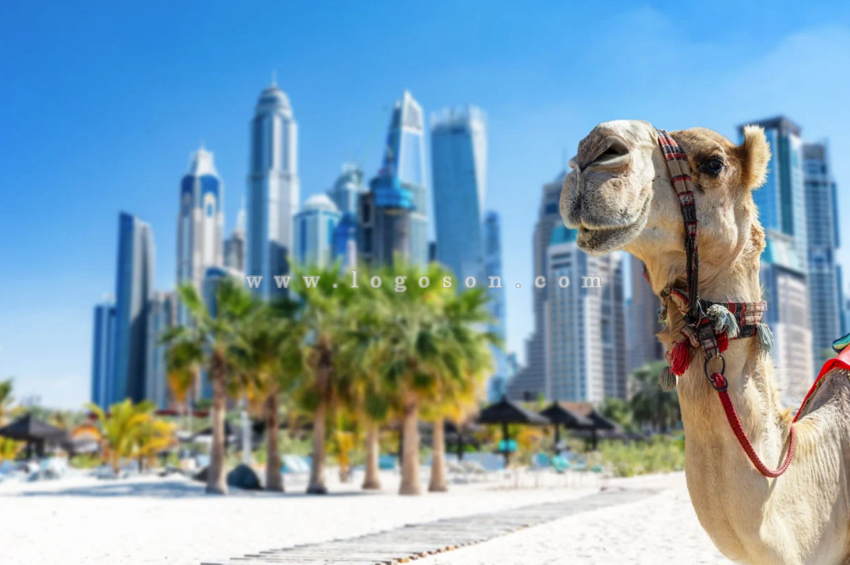 Dubai souvenirs and tips